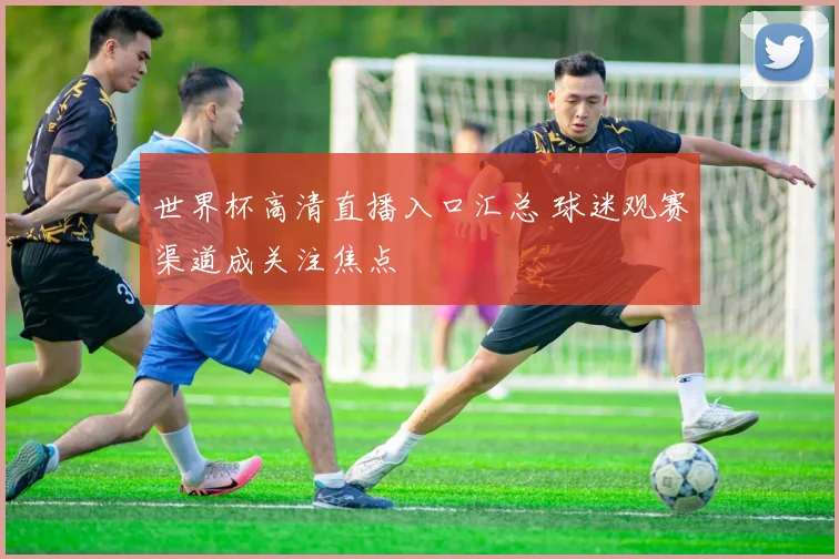 世界杯高清直播入口汇总 球迷观赛渠道成关注焦点