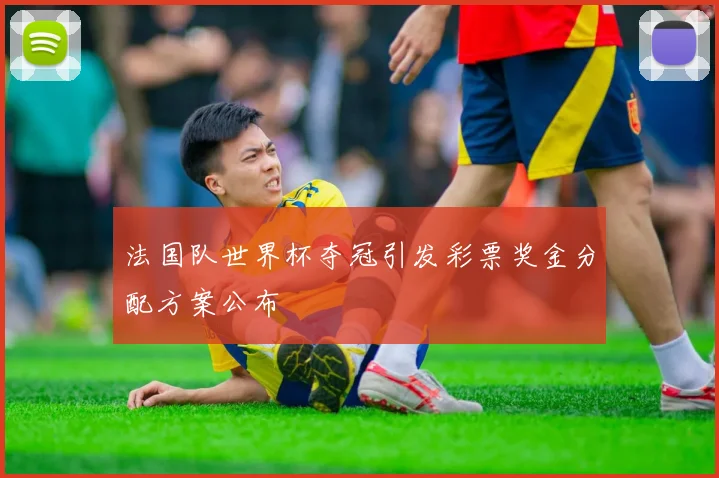 法国队世界杯夺冠引发彩票奖金分配方案公布