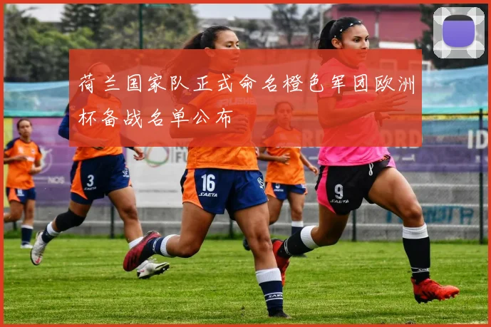 荷兰国家队正式命名橙色军团欧洲杯备战名单公布