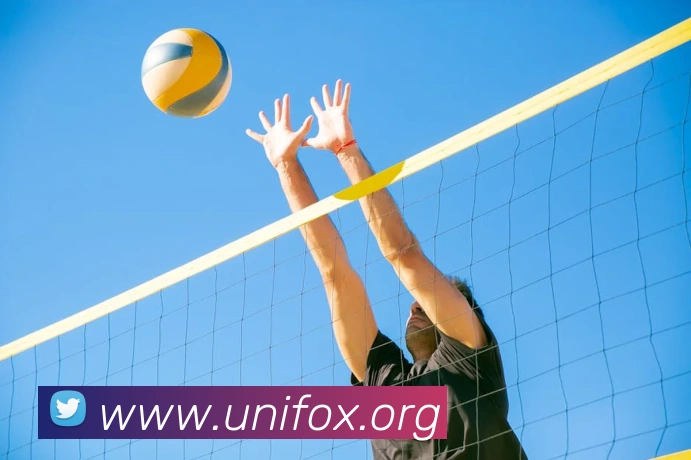 开云账号中心登录入口平台生态图