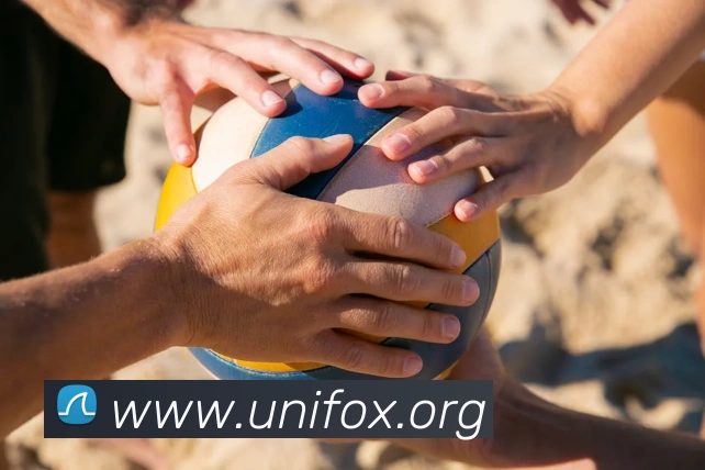 开云账号中心登录入口APP 封面图